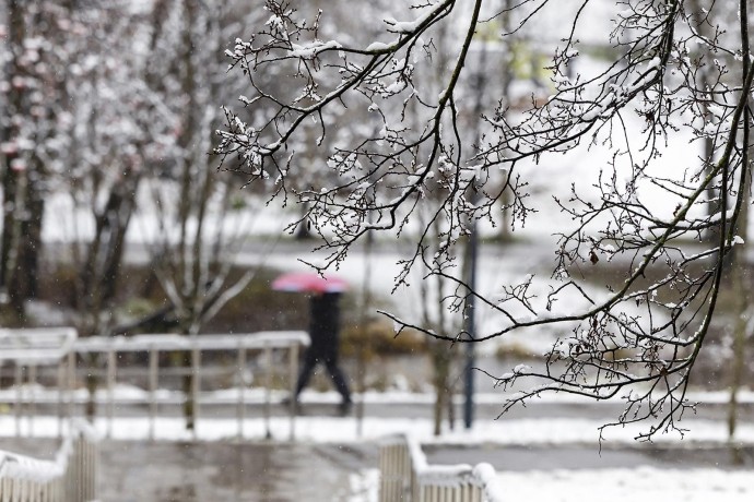 Вечером в Москве ожидается мокрый снег и гололедица