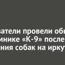 Следователи провели обыски в питомнике «К-9» после нападения собак на иркутян