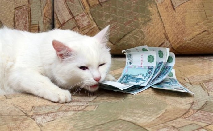 МРОТ повысят до 27 тысяч рублей в 2026 году