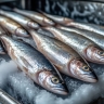 Сахалинское предприятие наказали за неправильную температуру при перевозке сельди