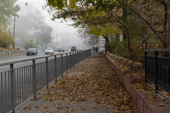 Ветер усиливается, осадков нет: прогноз погоды в Приморье