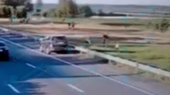 Подросток на питбайке сбил шестилетнего мальчика в Сестрорецке