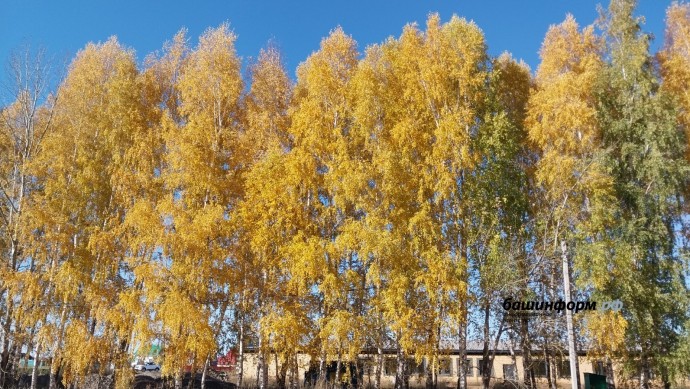 В Башкирии умеренное тепло продержится еще несколько дней В Башкирии умеренное тепло продержится еще несколько дней