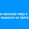 Цены на красную икру в России выросли на треть за год