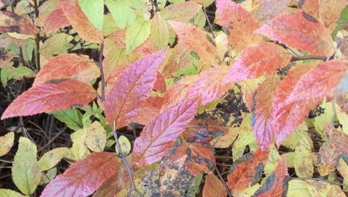 В Башкирии задержится аномальное тепло