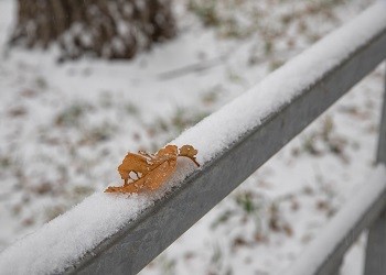 Приамурье ждет похолодание и снег