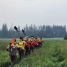 Десять лесных пожаров ликвидировали в Якутии за сутки
