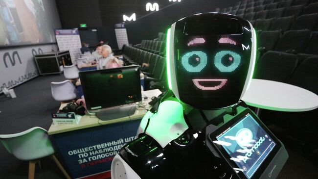 В Пермском крае за выборами начал наблюдать робот В Пермском крае за выборами начал наблюдать робот