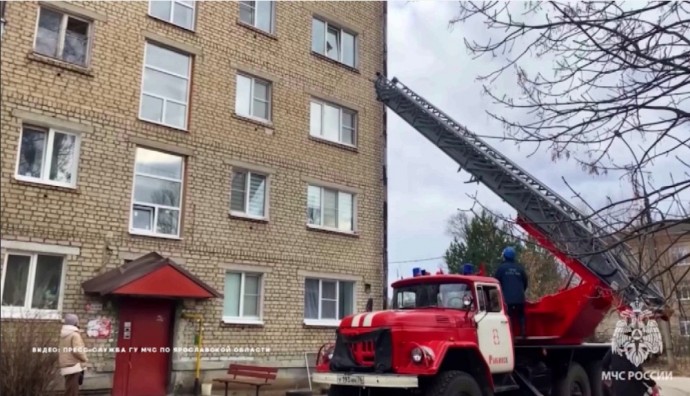 В Рыбинске пожарные спасли застрявшего в окне кота