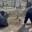 На субботник вышли семь тысяч улан-удэнцев