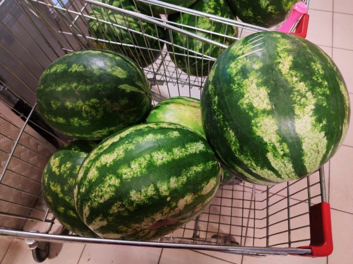 Как  жителям Башкирии выбрать вкусный и спелый арбуз Как  жителям Башкирии выбрать вкусный и спелый арбуз