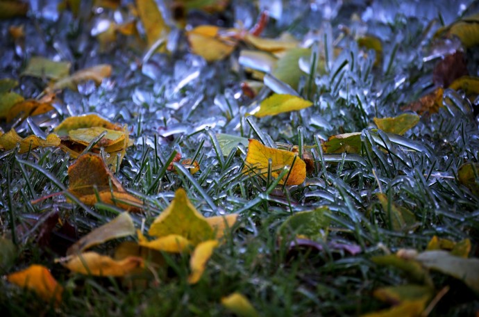 Синоптик Позднякова предупредила о заморозках в Московском регионе в выходные Синоптик Позднякова предупредила о заморозках в Московском регионе в выходные