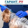 Ветклиника компенсировала стоимость погибшего от аллергии на вакцину щенка