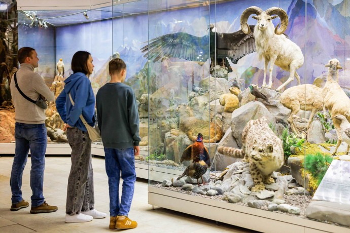 Московская музейная неделя пройдет в столице с 15 по 21 декабря