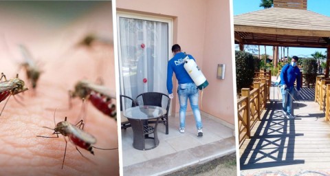 Российских туристов на курортах Египта жестоко атаковали комары