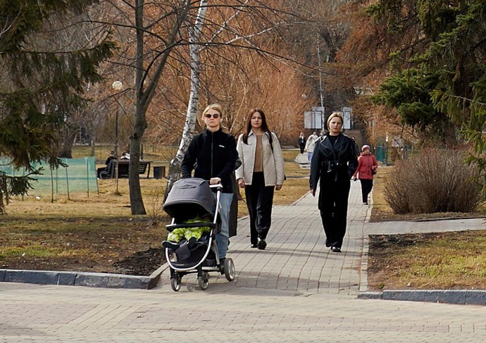 Для 38 тысяч белгородских семей оформили сертификат на маткапитал беззаявительным способом