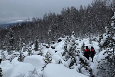 Поиски пропавшей в Красноярске семьи завершены