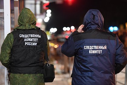 Россиянина арестовали за избиение главы города