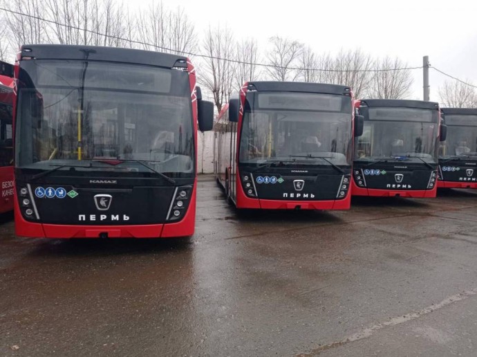 В Перми 5 сентября продлят работу нескольких автобусных маршрутов В Перми 5 сентября продлят работу нескольких автобусных маршрутов