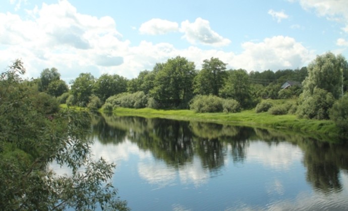 65 км берегов в Новгородской области очистили волонтеры акции «Вода России» 65 км берегов в Новгородской области очистили волонтеры акции «Вода России»