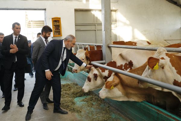 «Зачистка перед выборами»: Пашинян арестовал мэра Масиса «Зачистка перед выборами»: Пашинян арестовал мэра Масиса