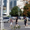 10 безработных белгородцев получат деньги на открытие своего бизнеса