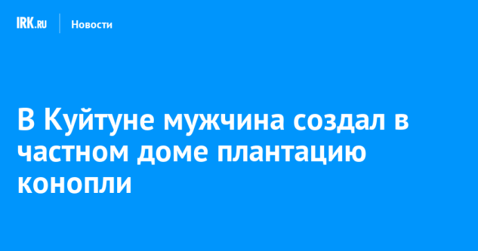 В Куйтуне мужчина создал в частном доме плантацию конопли
