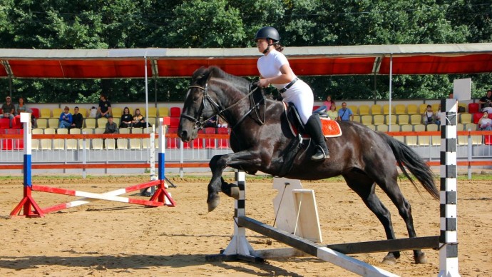 В Туле разыграли Кубок Центрального парка по конкуру