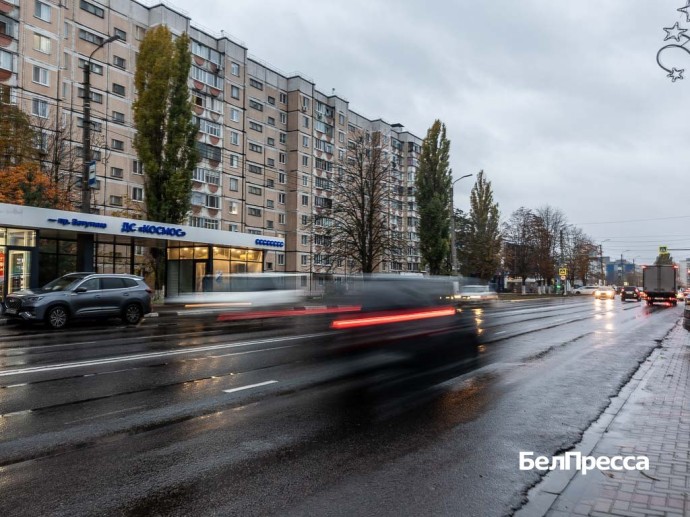 В Белгороде продолжает расти число элитных автомобилей