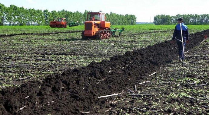 Задачка по метеорологии. Школьница из Ивни разработала мобильное приложение для аграриев