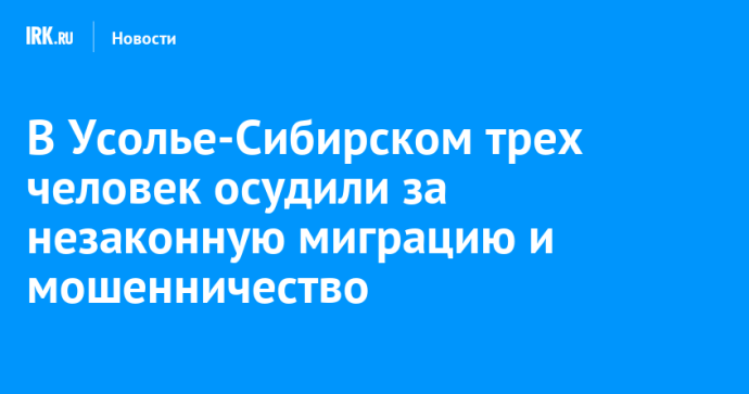 В Усолье-Сибирском трех человек осудили за незаконную миграцию и мошенничество