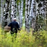 Подмосковным грибникам пригрозили уголовным делом. В Госдуме напомнили, за какие грибы можно получить судимость