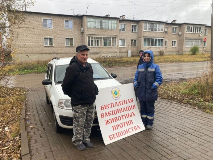 Кировских собак и кошек вакцинируют от бешенства