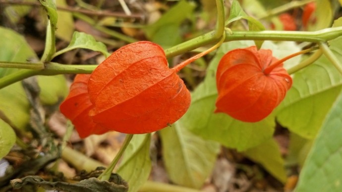 В Башкирии удивили неожиданным прогнозом на ноябрь и декабрь В Башкирии удивили неожиданным прогнозом на ноябрь и декабрь