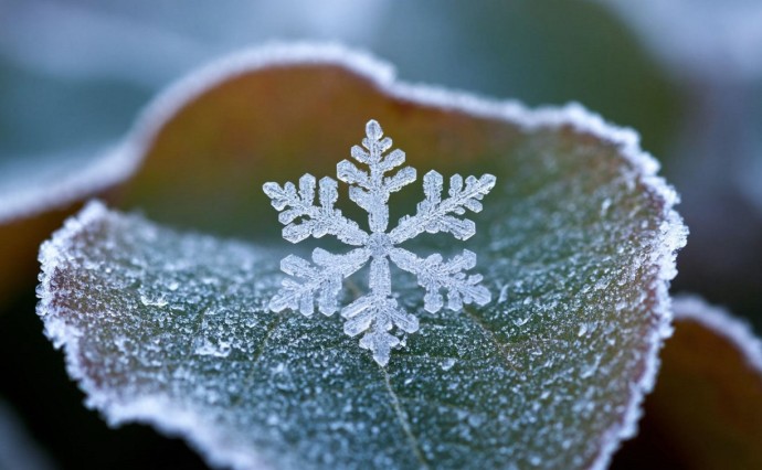 Похолодание и осадки: прогноз погоды для Сахалина и Курил на 1 ноября Похолодание и осадки: прогноз погоды для Сахалина и Курил на 1 ноября