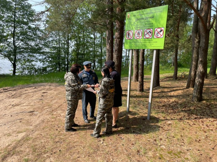 Нарушителей правил противопожарной безопасности в Ярославской области оштрафовали на 260 тысяч рублей