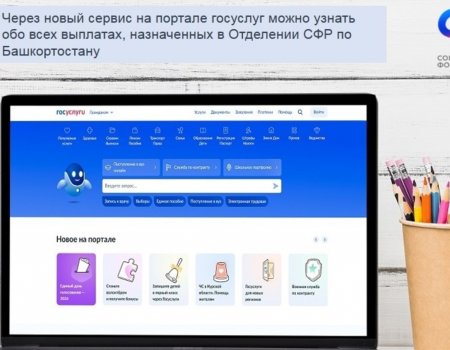 Жители Башкирии могут узнать о назначенных Соцфондом выплатах на Госуслугах