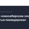 Пожар в новосибирском зоопарке полностью ликвидирован