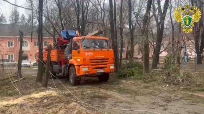 Должностные лица ответят за аварийное отключение электричества в Приморье