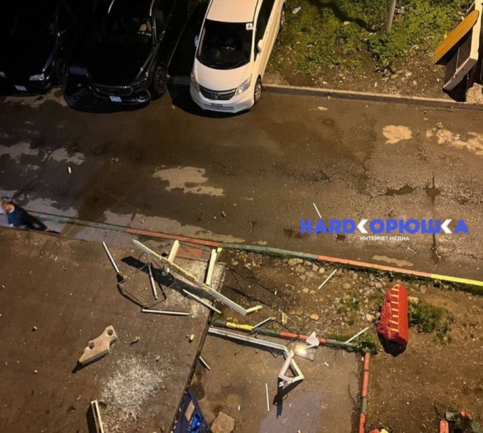 «Белая горячка в действии»: буйный житель Владивостока разнес автомобили во дворе жилого дома