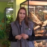 Сотрудник pr-отдела Ленинградского зоопарка Софья Антонова: Любовь к «Зениту» мне привил папа