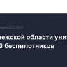 В Воронежской области уничтожено около 40 беспилотников