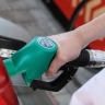 В России заявили о контролируемой ситуации с бензином