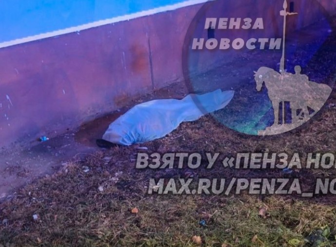 На проспекте Победы в Пензе при падении с 5 этажа погибла женщина