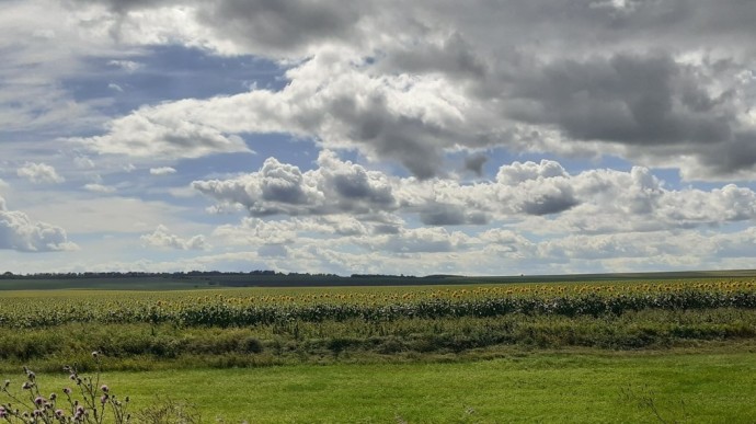 Как погода в Башкирии повлияет на уборку урожая Как погода в Башкирии повлияет на уборку урожая