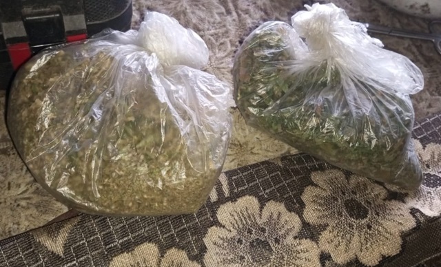 У жителя Ковылкино транспортная полиция изъяла два пакета с марихуаной У жителя Ковылкино транспортная полиция изъяла два пакета с марихуаной