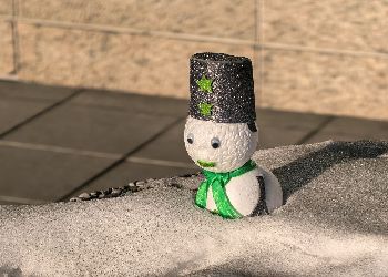 Благовещенцев умилил крошечный снеговик у здания амурского правительства