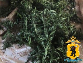 В Ярославле задержали водителя с коноплей в салоне