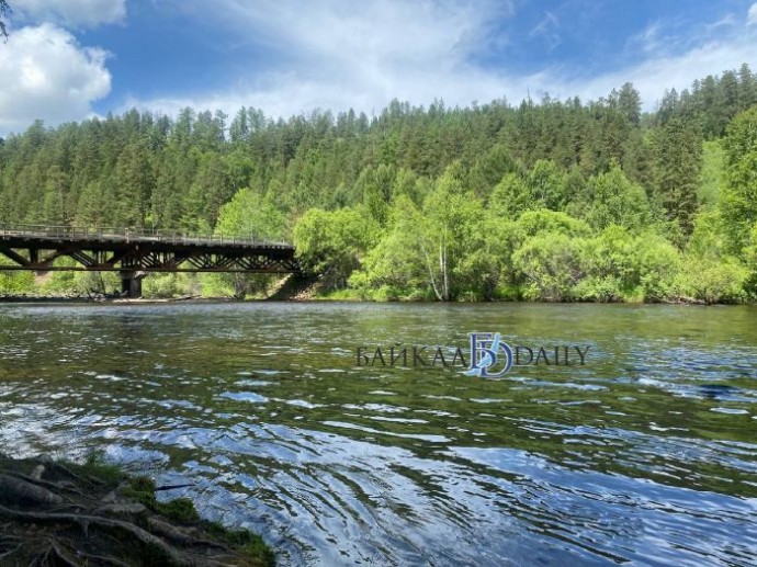 На Хаиме в Бурятии надолго прикрыли закусочные с легендарными беляшами