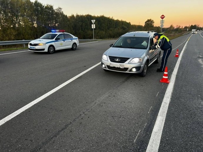 В ГАИ Башкирии рассказали о сплошных проверках